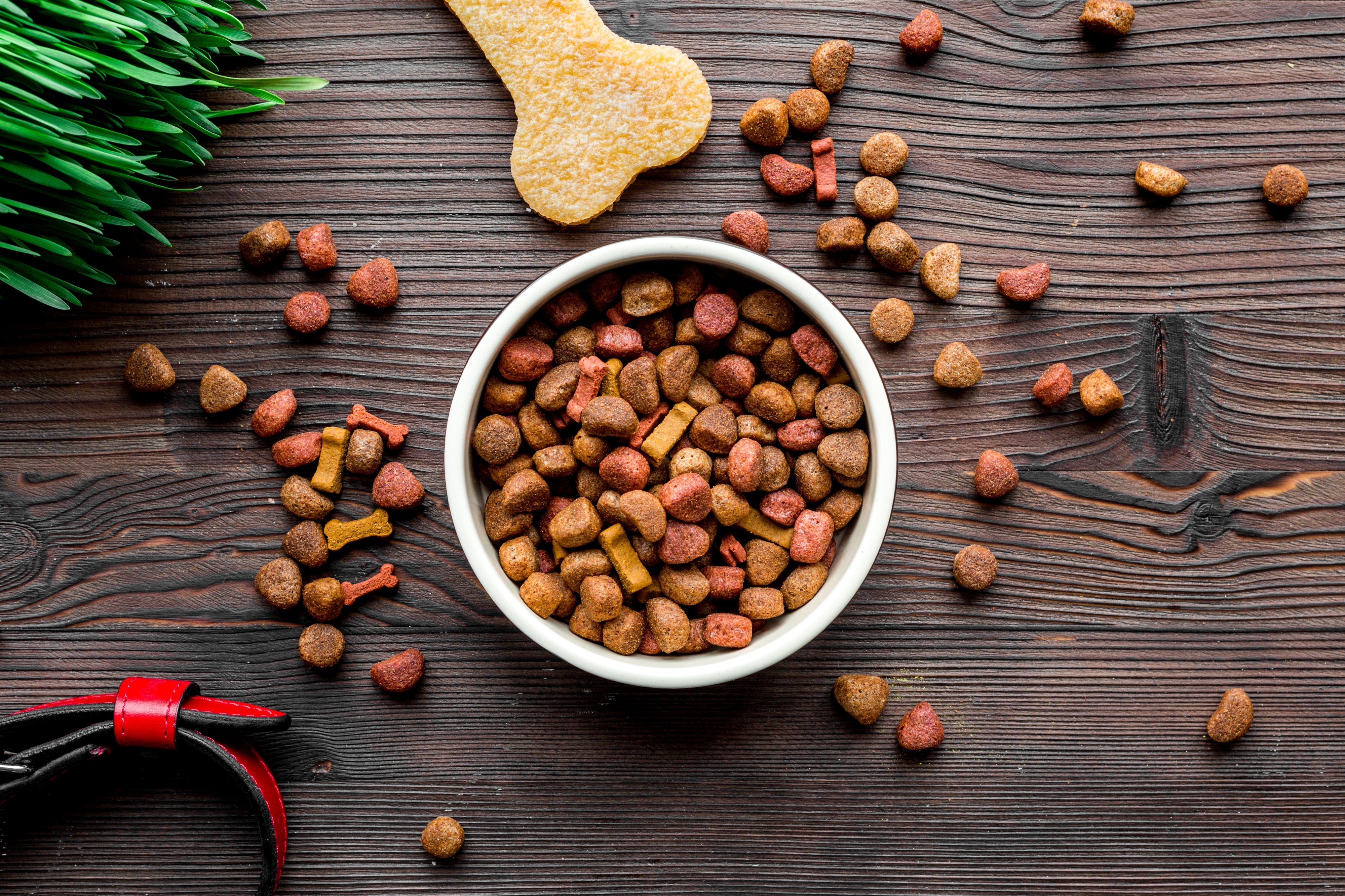 Natvoer vs. Droogvoer voor Honden: Wat Zijn de Voor- en Nadelen?