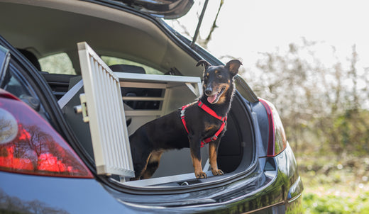 5 essentiële voordelen van een autobench