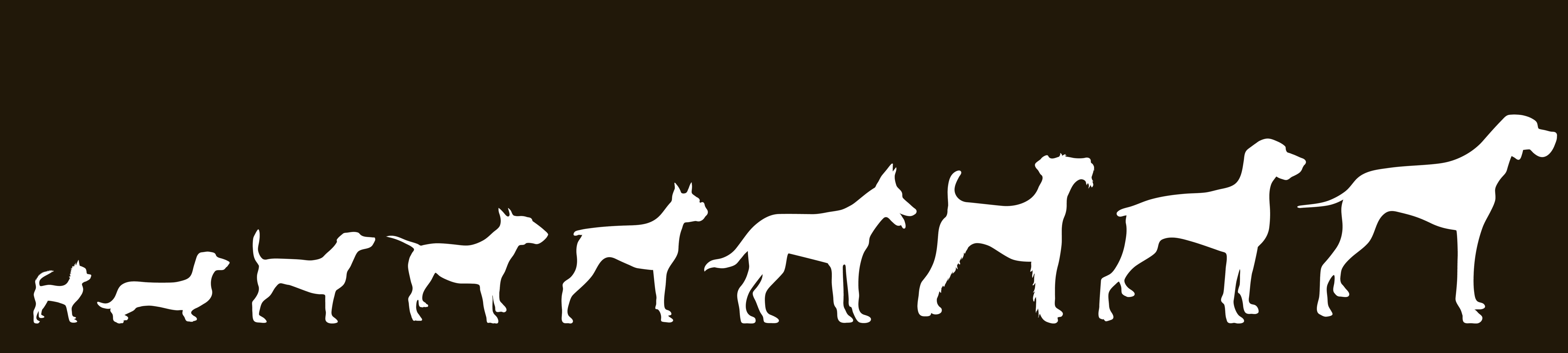 Verschillende formaten van honden