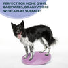 FitPAWS - Balance Disc - Razzleberry