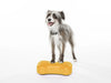 FitPAWS - Mini K9FITbone - Set van 2 - Mango
