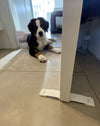 Dogspace puppy veiligheidskit - 9 stuks