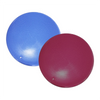 FitPAWS – Balance Disc