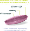 FitPAWS - Balance Disc - Razzleberry