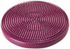 FitPAWS - Balance Disc - Razzleberry