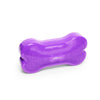 FitPAWS - K9FITbone - Purple