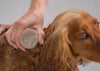Happy Soaps – Hondenshampoo voor Langharige Vacht – 6-pack