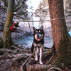 Petsafe – Ridgeline Tie Out – Campinglijn