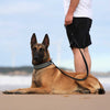 Quapas! Ultra Comfort Reflecterende Halsband Hond