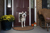 PetSafe – Extreme Weather Pet Door – Hondenluik