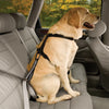 Kurgo – Seatbelt Loop – Autogordeladapter