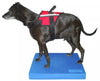 FitPAWS - Balance Pad