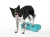FitPAWS - K9FITbone - Aqua