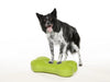 FitPAWS - K9FITbone - Green