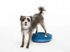 FitPAWS - Balance Disc - Blue