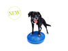 FitPAWS - Balance Disc - Blue