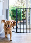 DogSpace Rocky uitvouwbaar hondenhek en roomdivider - zwart - maat L