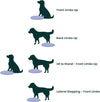 FitPAWS - Balance Disc - Razzleberry