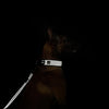 Quapas! Ultra Comfort Reflecterende Halsband Hond