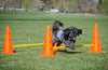 FitPAWS - Hurdle Set