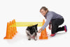 FitPAWS - Hurdle Set