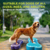 FitPAWS - K9FITbone - Aqua