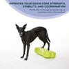 FitPAWS - K9FITbone - Aqua