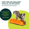 FitPAWS - K9FITbone - Aqua